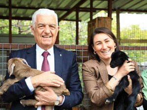 Başkan Gürün keçi yetiştiricisi kadınları ziyaret etti