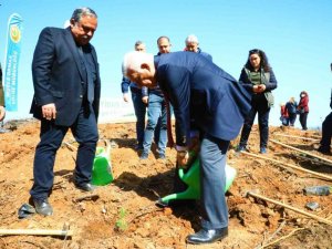 Avni Burak Yenice için hatıra ormanı