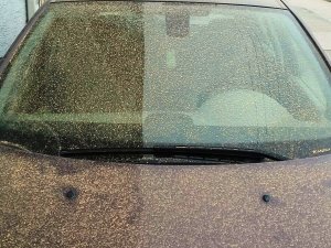 Aydın’da toz taşınımı bekleniyor