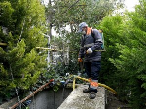 Kuşadası’nda vektörle mücadele devam ediyor