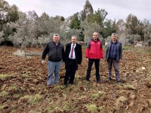 Köyceğiz’de fideler toprakla buluştu