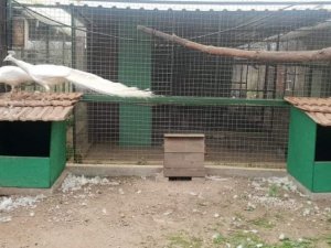 Aydın’da av ve yaban hayvanı özel üretim tesisi denetlendi