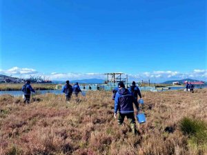 Milas’ta vektörle mücadele