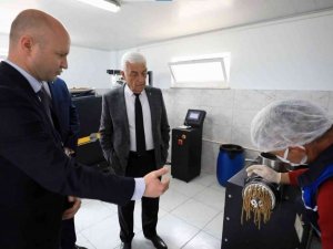 Büyükşehir Belediyesi sokak hayvanlarının mamasını kendisi üretiyor