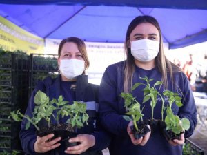 Büyükşehir Belediyesi Ata Tohumları’na sahip çıkıyor