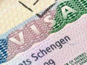 Şirket Sahibi Schengen Vizesi Başvuru Süreci ve Gerekli Evraklar