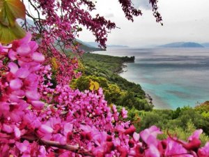 Milli Park’ta yangın tehdidine karşı ortak bildiri