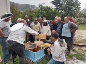 Arıcılara Apiterapik ürün eğitimi