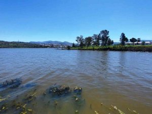 Bodrum’da kuruyan baraj yüzde 100 doluluk oranını yakaladı