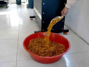 Kuşadası Belediyesi can dostlar için mama üretimine başladı