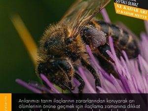 Köyceğizli üreticilere, arıcılık faaliyetleri nedeniyle ilaçlama uyarısı