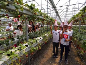 Seydikemer’de ‘Çilek Çocuk Şenliği’