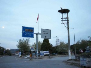 Baharın müjdecisi leylekler Aydın’ı mesken tutuyor