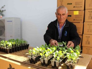 Bodrum’da 142 bin hibe fide üreticiyle buluştu