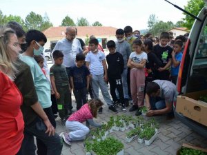 Köyceğiz’de öğrencilere ata tohumu fideleri dağıtıldı