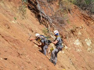 Bellerine bağladıkları halatlarla, fidan diktiler