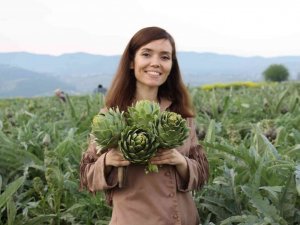 Menderes çifti, Aydın enginarına değer kattı