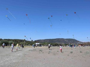 Sarıgerme Uçurtma Şenliği gerçekleştirildi