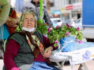 Didim Belediyesi’nden kadınlara binlerce çiçek
