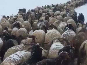 Mayıs ayında kar altında yayla yolculuğu