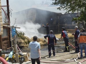 Samanlar tutuştu, mahallede panik yaşandı
