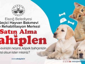 Başkan Şerifoğulları, “Şehrimizde yaşayan her canlının huzurunu tesis etmek bizlerin en asli görevidir”