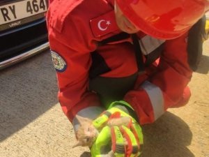 Aracın motor kısmına sıkışan kediyi itfaiye kurtardı