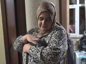 Havalandırma boşluğundan kurtarılmasını sağladığı yavru kediyi sahiplendi