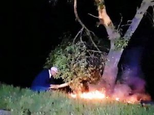 Yıldırım isabet eden ağaç alev aldı