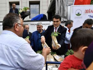 Ata tohumları geleceğe taşınıyor