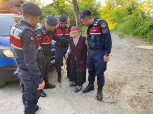 Kayıp kadın ormanda bulundu