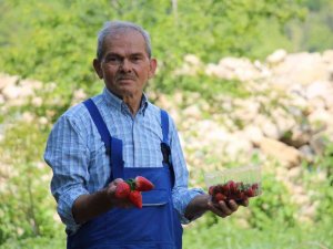 Emekli madenci hayatını tarıma adadı; şimdi siparişe yetişemiyor