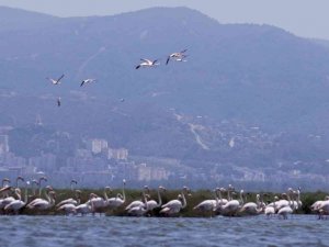 Körfez’in en renkli teknesiyle ilk tekne turu
