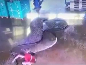 Temizlik yapmak isterken hortumdan gelen ani su ile kendisini yerde buldu