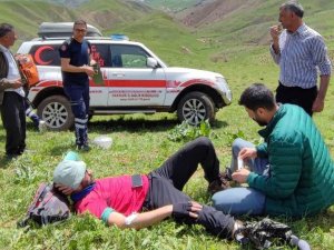 Doğa gezisine çıkan şahsı engerek yılanı ısırdı