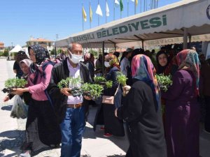 Ücretsiz olduğunu duyan koştu, 16 bin adet sebze fidesi dağıtıldı