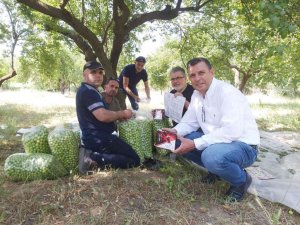 Eski Muhtar’ın aşısı, önce damaklarda taht kurdu şimdi de panzehir olarak kullanılacak