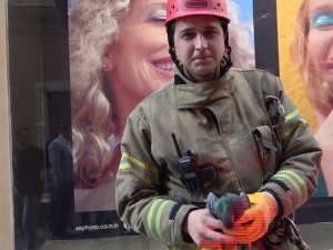 İstiklal Caddesi’nde fileye takılan kuşu itfaiye kurtardı