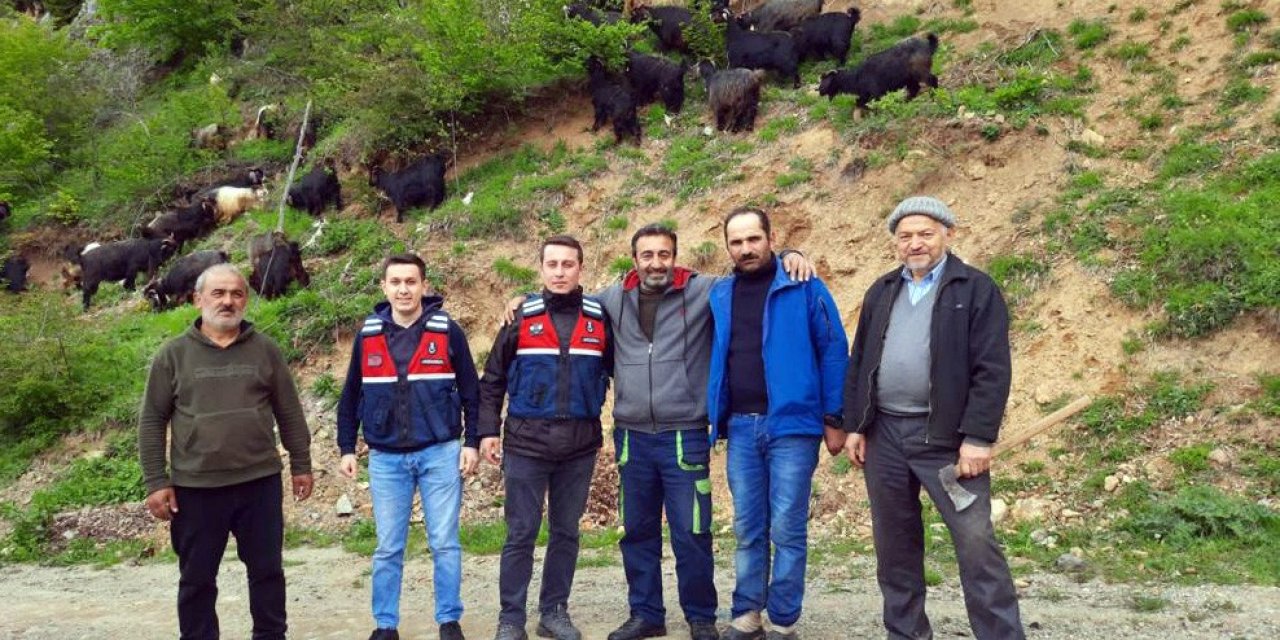 Küçükbaş hayvanları kaybolan yaylacıların imdadına Jandarma yetişti