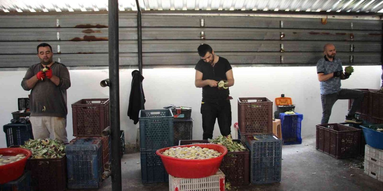 Bu iş için özel ekip kurdular, kişi başı aylık 30 bin TL kazanıyorlar