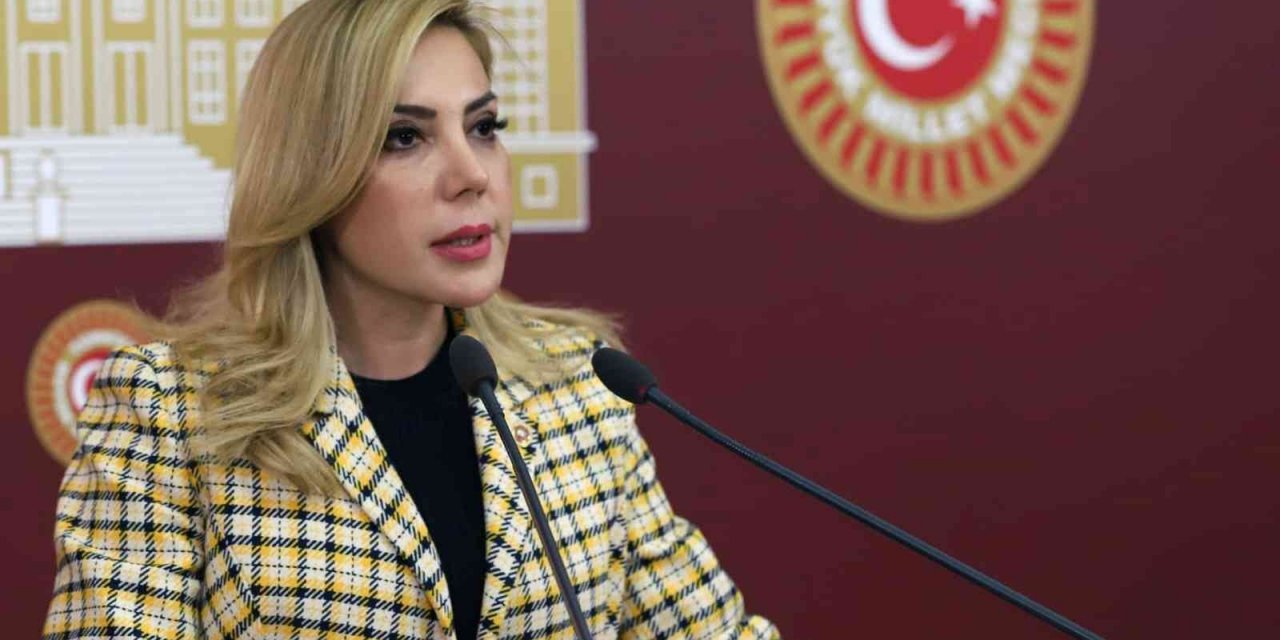 AK Parti Muğla Milletvekili Gökcan’dan 19 Mayıs mesajı
