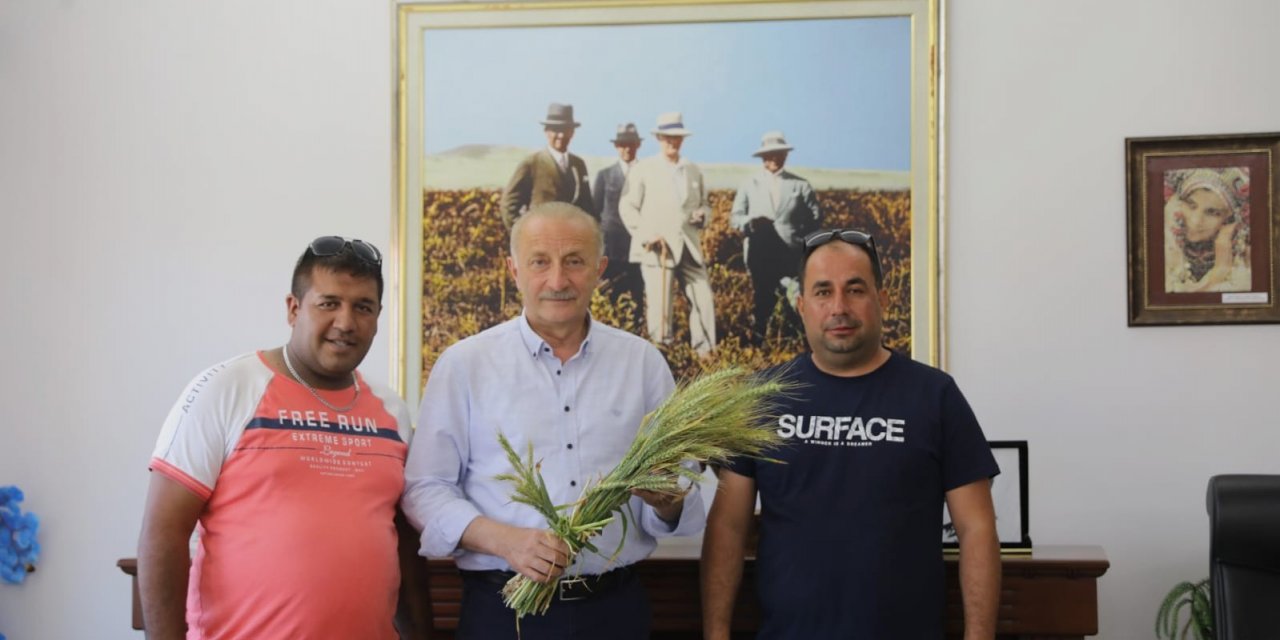 Didim Belediyesi’nin ektiği buğdaylar hasada gün sayıyor