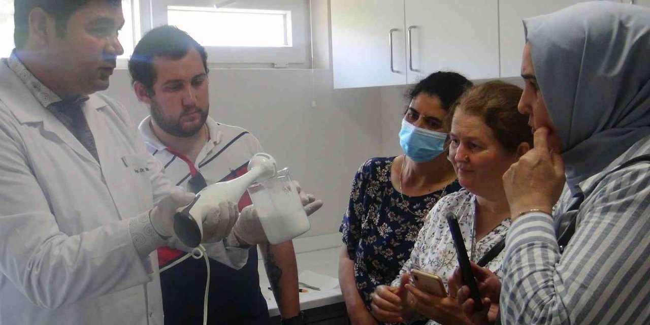 Kleopatra’nın güzellik iksirinden krem