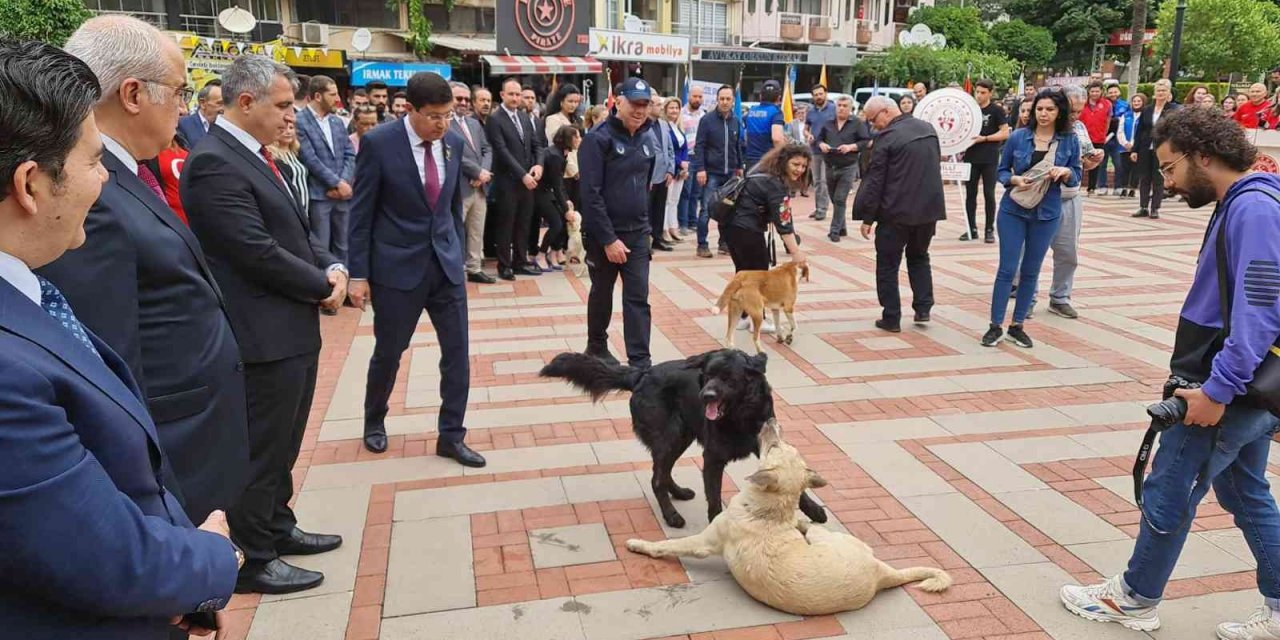 Protokolün sokak köpekleriyle imtihanı