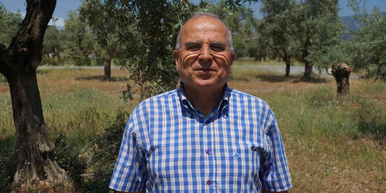 Yılanların dansı böyle görüntülendi