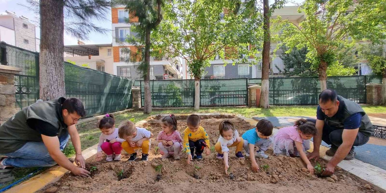 Aydın Büyükşehir Belediyesi’nin Ata Tohumları Projesi çocukların ellerinde büyüyor