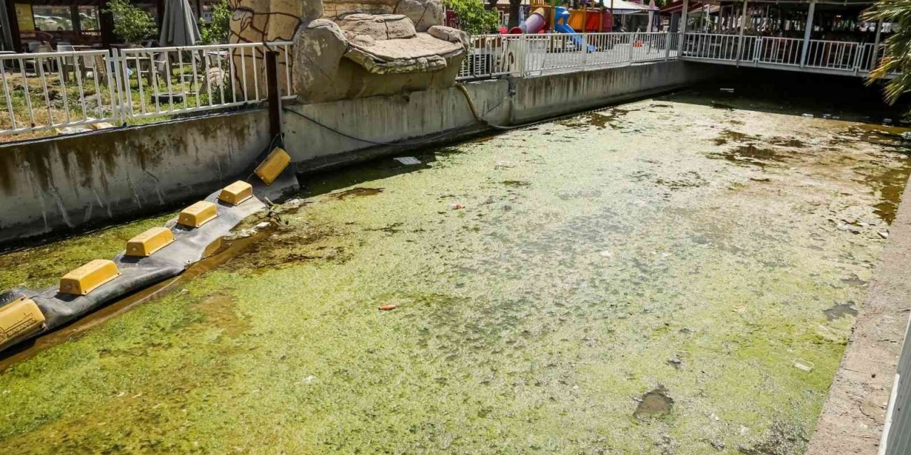 Seferihisar’da esnafı endişelendiren görüntü