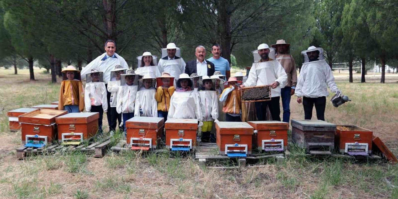 Dünya çam balının merkezinde ‘Arı Günü’ etkinliklerle kutlandı
