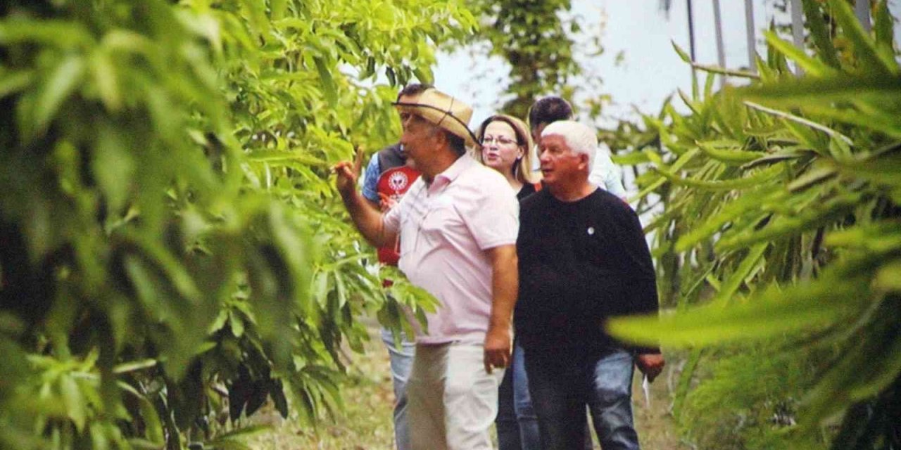 İklim değişikliği, tarımsal faaliyetleri de etkiledi