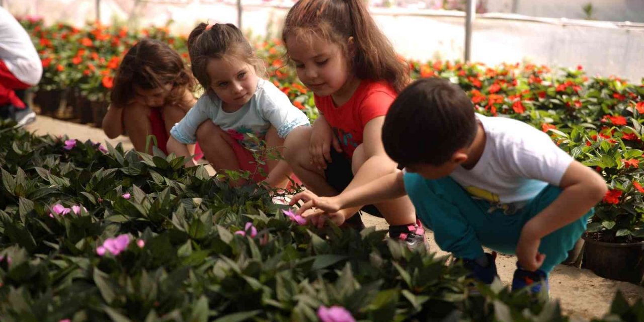Aydın Büyükşehir Belediyesi minikleri fidanlıkta misafir etti